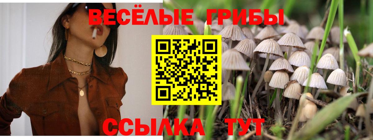 Балашиха  Галлюциногенные грибы Psilocybine cubensis  Вход с VPN 